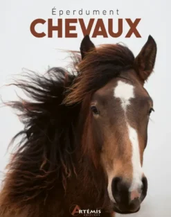 Eperdument chevaux
