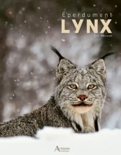 Eperdument Lynx