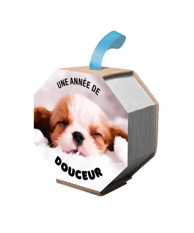 Ephéméride - Une année de douceur