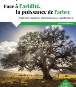 Face à l'aridité, la puissance de l'arbre