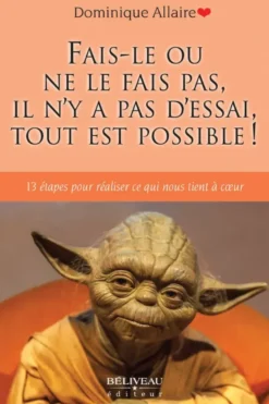 Fais-le ou ne le fais pas, il n'y a pas d'essai, tout est possible ! 13 étapes pour réaliser ce qui nous tient à coeur