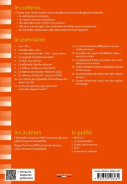 Fiches d'Analyse financière et Diagnostic financier