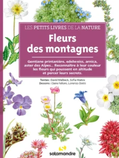 Fleurs des montagnes