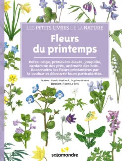 Fleurs du printemps