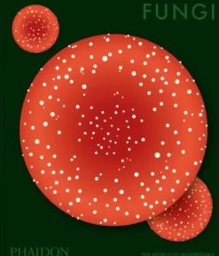 Fungi