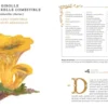 Grimoire d'une cueilleuse de champignons