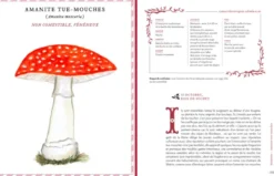 Grimoire d'une cueilleuse de champignons