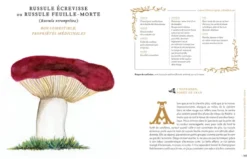 Grimoire d'une cueilleuse de champignons