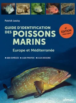 Guide d'identification des poissons marins