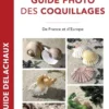 Guide photo des coquillages