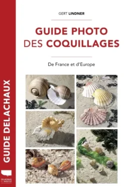 Guide photo des coquillages