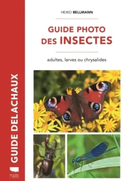 Guide photo des insectes