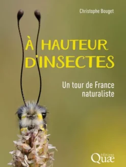 À hauteur d'insectes