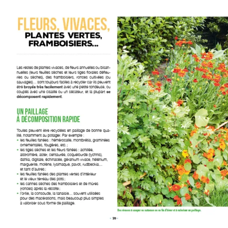 Je valorise mes déchets verts au jardin