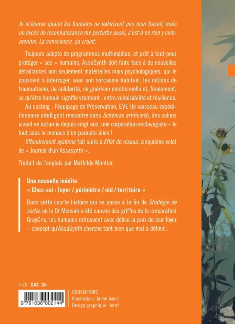 Journal d'un AssaSynthEffondrement système