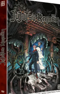 Jujutsu Kaisen - Saison 1 - DVD (2020)