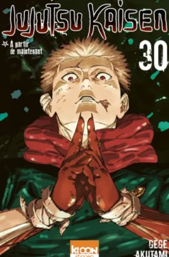 Jujutsu Kaisen T30