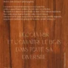 La bible du bois - Nouvelle édition
