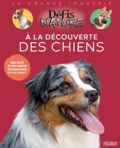 À la découverte des chiens