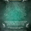 La Dernière Sorcière
