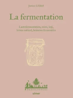 La fermentation - Lactofermentation, miso, koji, levain naturel, boissons fermentées