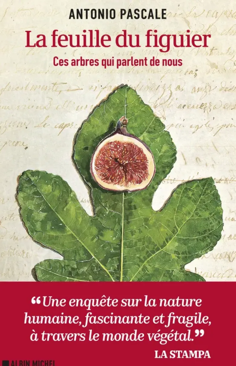 La Feuille du figuier