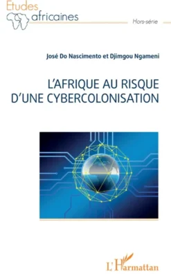 L'Afrique au risque d'une cybercolonisation