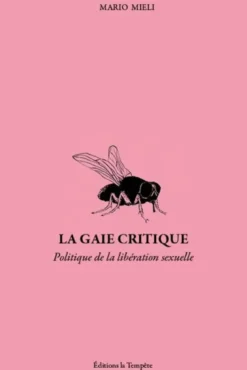 La gaie critique - politique et libération sexuelle dans les années soixante-dix