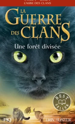 La guerre des clans - Cycle V : L'aube des clans - Tome 5 Une forêt divisée