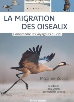 La migration des oiseaux