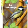 La mésange