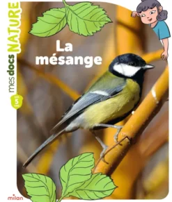 La mésange