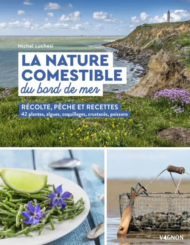 La nature comestible du bord de mer