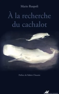 À la recherche du cachalot