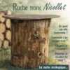 La ruche-tronc Nicollet