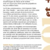 La santé environnementale
