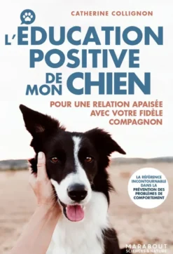 L'éducation positive de mon chien
