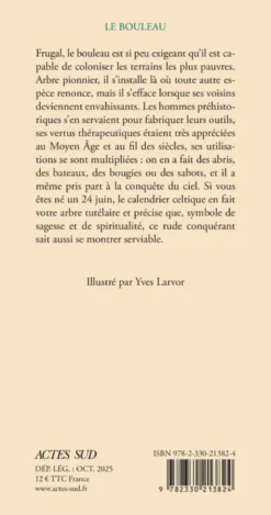 Le bouleau