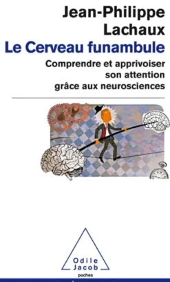 Le cerveau funambule