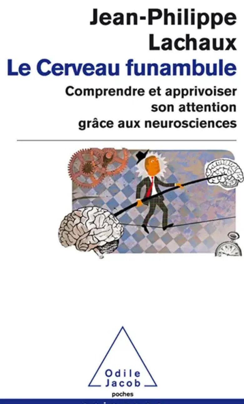 Le cerveau funambule