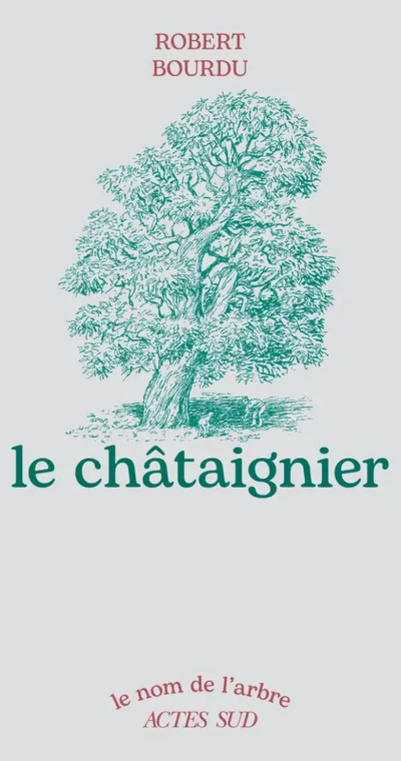 Le châtaignier