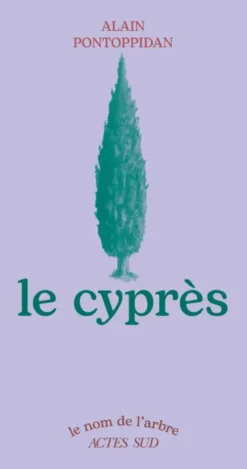 Le Cyprès