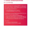Le droit constitutionnel en schémas