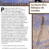 L'effet castor