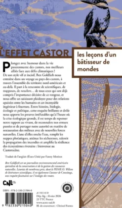 L'effet castor