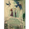 Le Fracas des Envolées - Tome 1 Le Brise-Tempête