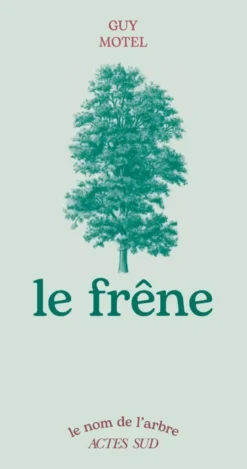 Le frêne