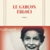 Le garçon ébloui