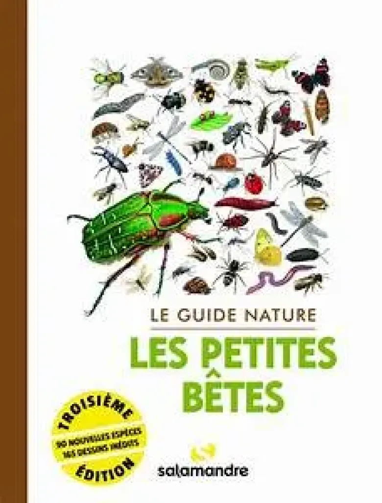 Le guide nature Les petites bêtes