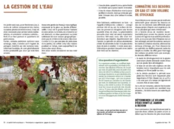 Le jardin forêt en pratique